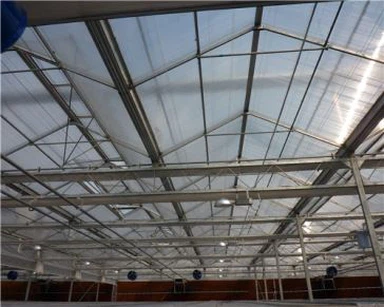 Folja vojta tal-Polikarbonat ċara